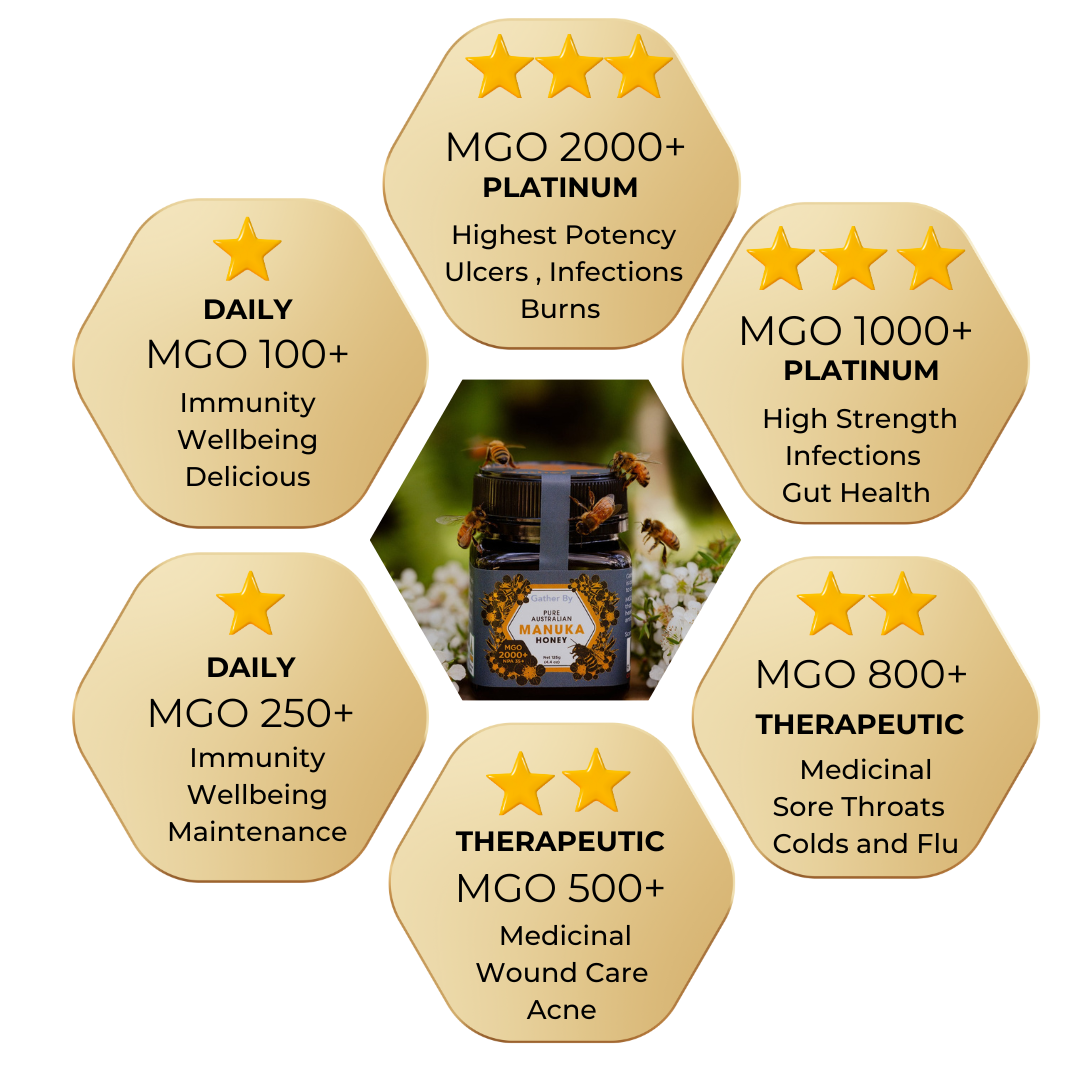 description of ech MGO rating in infographic