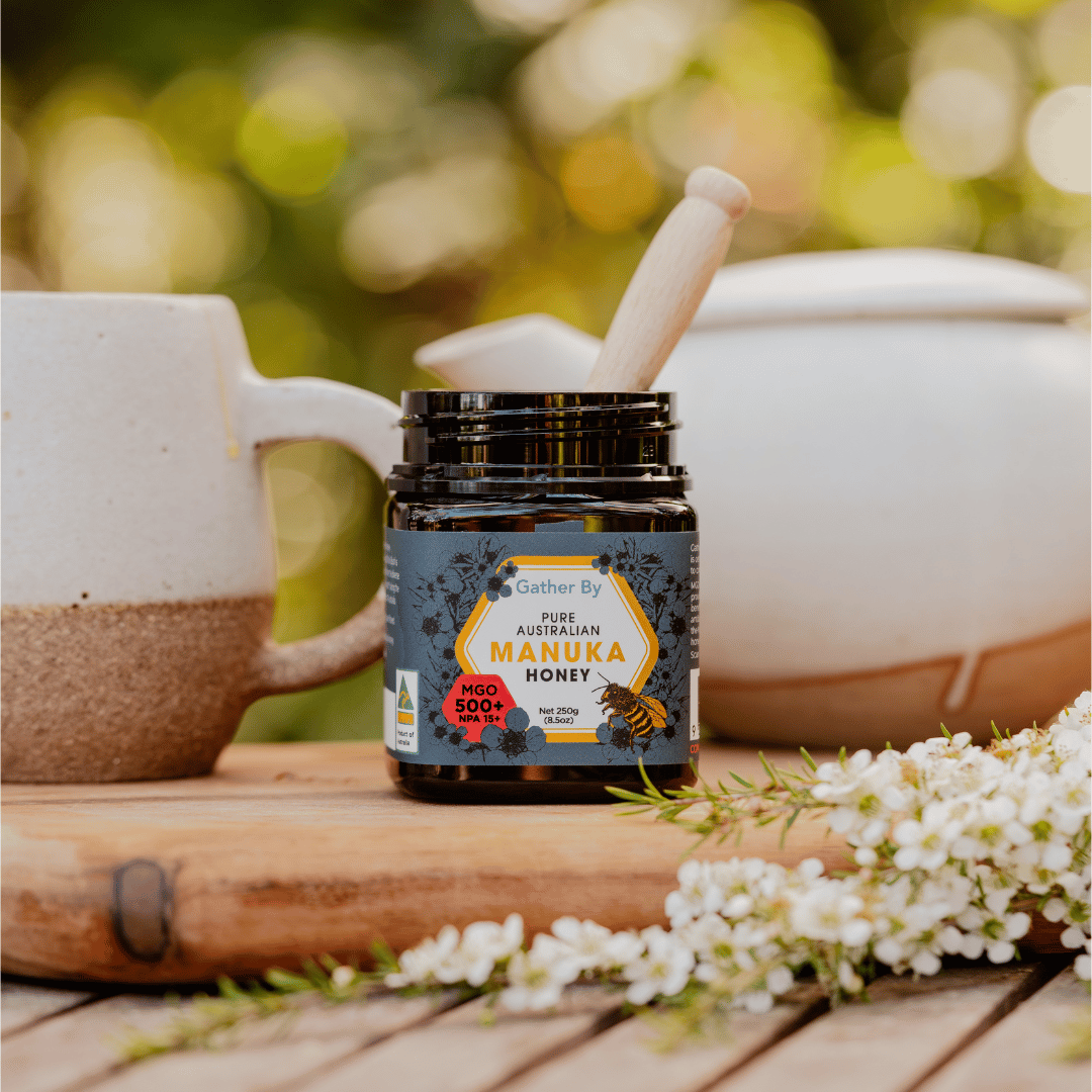 best manuka honey raw organic mgo 500+